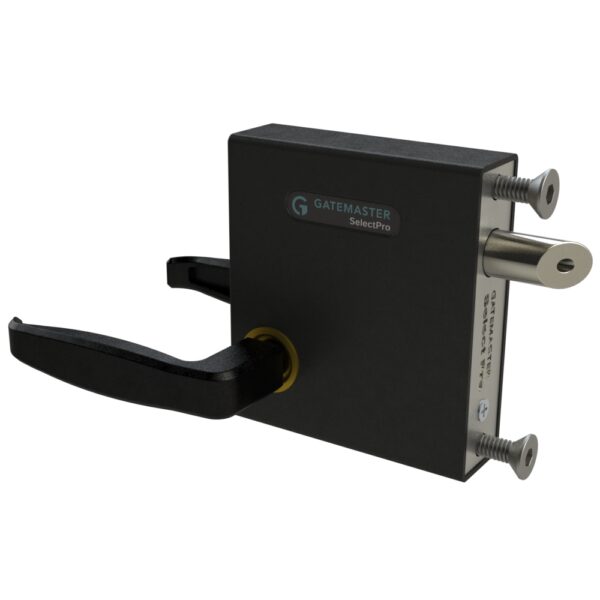 Exterior gate lock with latching bolt and handles